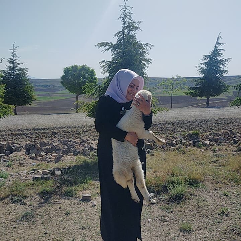 Kozaklı Kaplıcalar